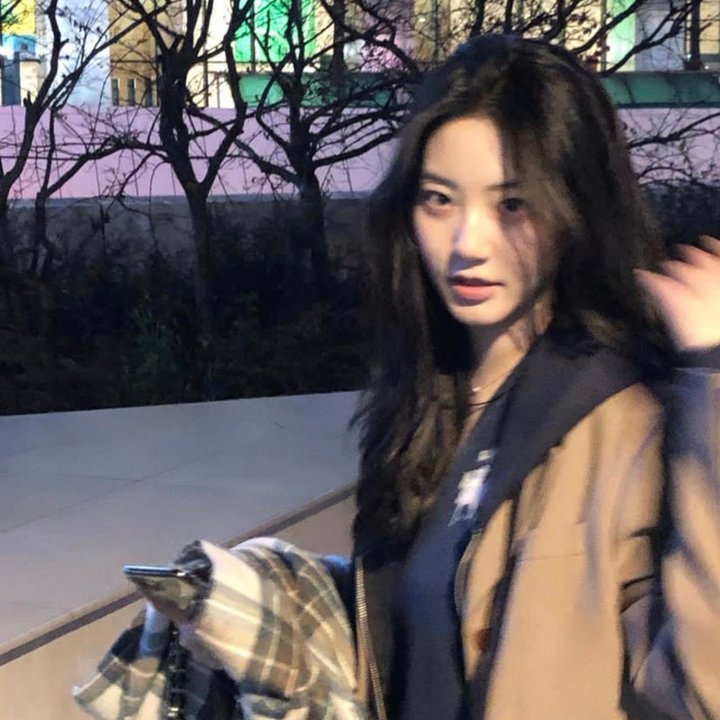 艾蜜丽的五件事