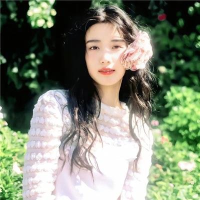 狐獴家族